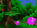 Piggly